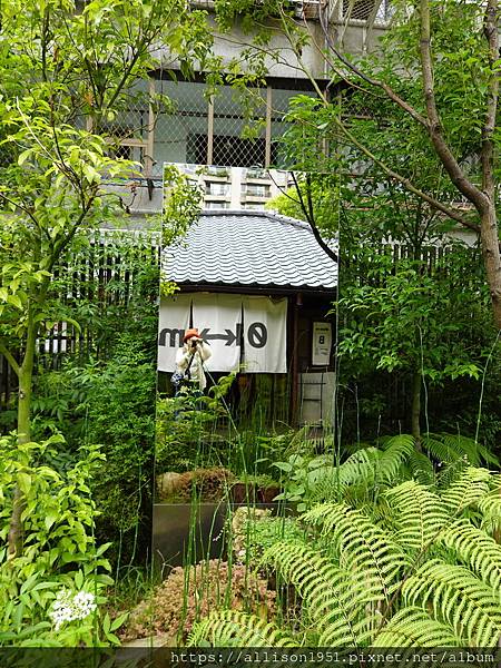 －＞城市中的山林－0KM 山物所