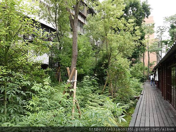 －＞城市中的山林－0KM 山物所