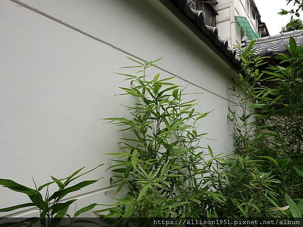 －＞城市中的山林－0KM 山物所