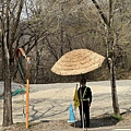 IMG_8792.JPG