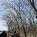 IMG_8795.JPG