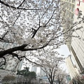 IMG_8813.JPG