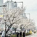 IMG_8808.JPG