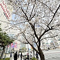 IMG_8814.JPG