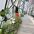 IMG_8846.JPG