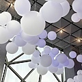 IMG_8847.JPG