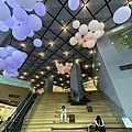 IMG_8851.JPG