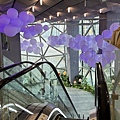 IMG_8855.JPG