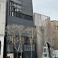 IMG_9125.JPG