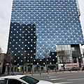 IMG_9142.JPG