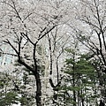 IMG_9158.JPG