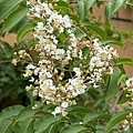 IMG_3042.JPG