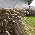 DSC00203.JPG