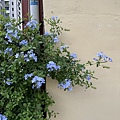 IMG_1655.JPG