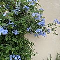IMG_1656.JPG