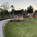 IMG_5446.JPG
