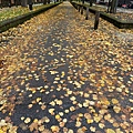 IMG_0304.JPG
