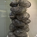 IMG_0374.JPG