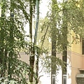 IMG_6735.JPG