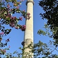 IMG_4538.JPG