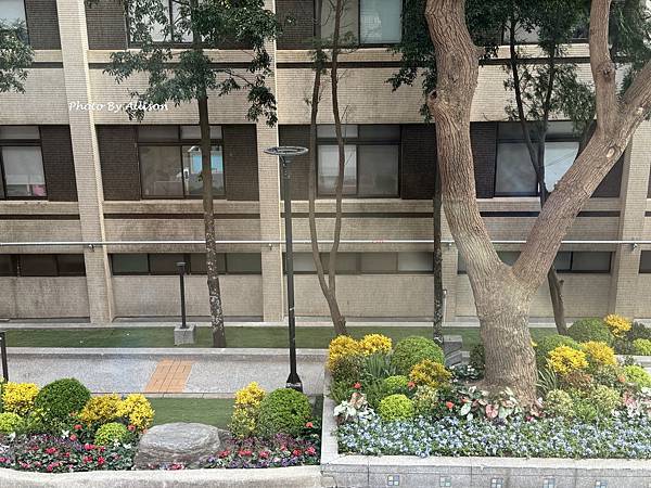－＞薑荷花 + 藍雪花 + 大岩桐...榮總花園繽紛上演….