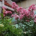 DSC00228.JPG
