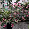 DSC00244.JPG