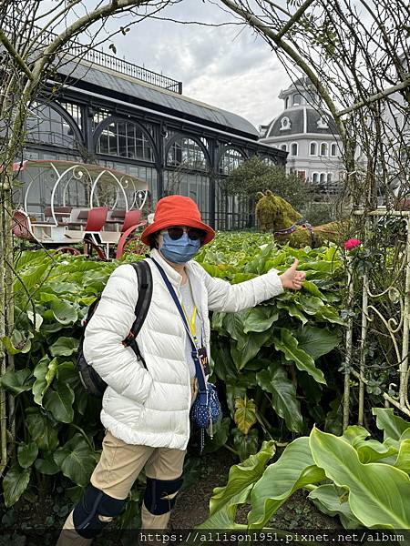 －＞【越南沙壩】11 / 30 地涌金蓮+  白色海芋 花園