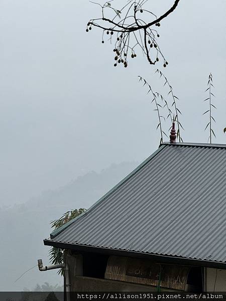 IMG_4131.JPG