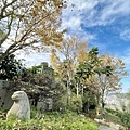 IMG_3496.JPG