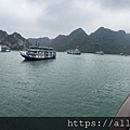 IMG_4342.JPG