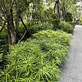 IMG_4907.JPG