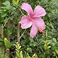 IMG_4912.JPG
