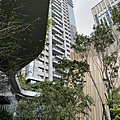 IMG_4938.JPG