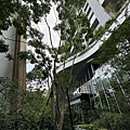 IMG_4946.JPG