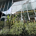 IMG_4956.JPG