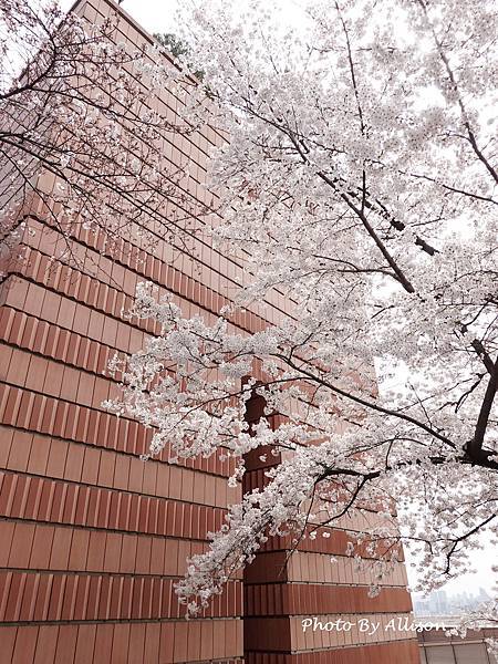 －＞建築比展品精彩的美術館-三星LEEUM美術館(下) 【2