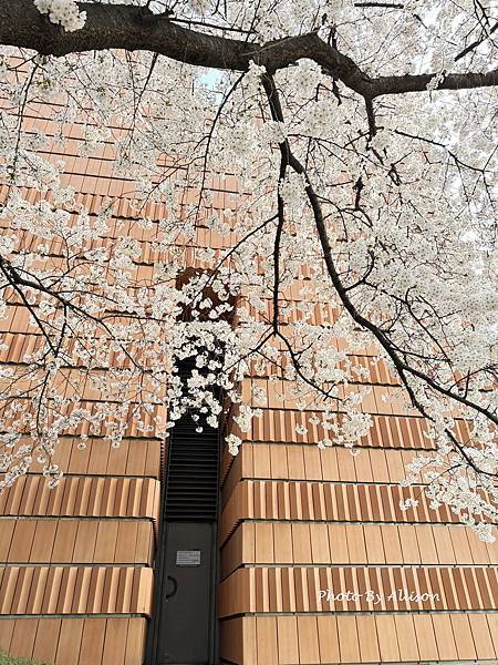 －＞建築比展品精彩的美術館-三星LEEUM美術館(下) 【2