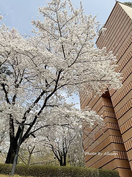 －＞建築比展品精彩的美術館-三星LEEUM美術館(下) 【2
