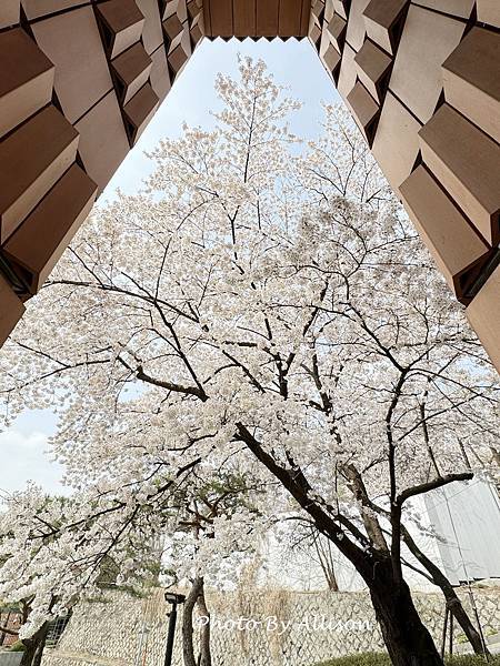 －＞建築比展品精彩的美術館-三星LEEUM美術館(下) 【2