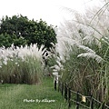 DSC00285.JPG
