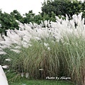 DSC00283.JPG