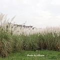DSC00291.JPG