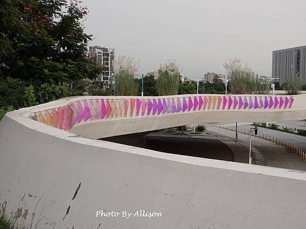 －＞秋天賞芒--- 今年台中中央公園的芒花開得特別好...
