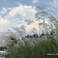 IMG_5712.JPG