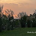 IMG_5772.JPG