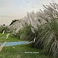 IMG_5780.JPG