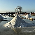 IMG_4779.JPG