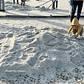 IMG_4771.JPG