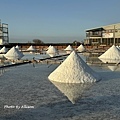 IMG_4784.JPG
